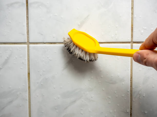 Best Mold Testing and Removal  in East Marion, NY
